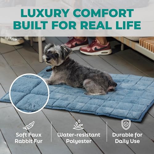 KindTail Nomad Nap Mat - Travel Dog Bed - Machine Washable, Water-Resistant Dog Mat for Pets up to 50 lbs - Lightweight, Portable Pet Bed with Carry Handle - Folds to 14 x 9 x 5 (1.5 lbs, Blue) - color: Blue