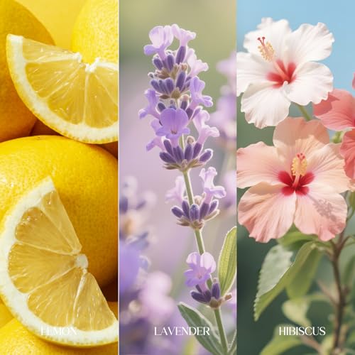 Travel Size Toilet Spray, Bathroom Odor Eliminator, 3 Pack, 1 fl oz Each, Up to 150 Uses, For Home and Travel, Essential Oils Freshener Spray, Lemon, Hibiscus, Lavender - size: 1 Fl Oz (Pack of 3)