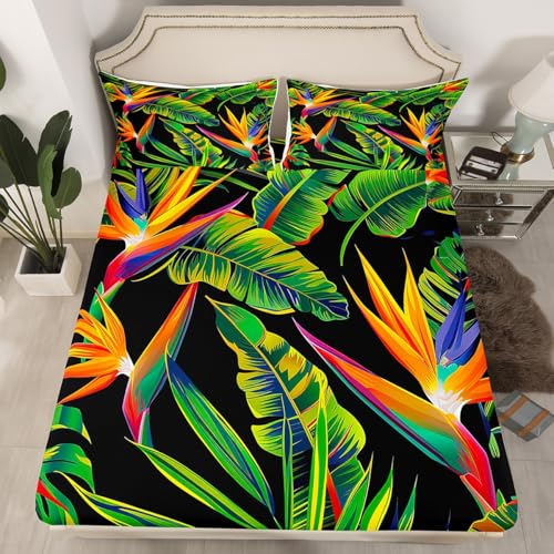 Tropical Fitted Sheet Tropical Tree Bedding Set for Kids Boys Girls Green Plant Palm Leaves Sheet Set Jungle Botanical Leaf Bed Cover with 1 Pillow Sham for Young Teens Dorm Decor,Twin XL,Black - color: Leaf 03, size: TwinXL(39"x80")