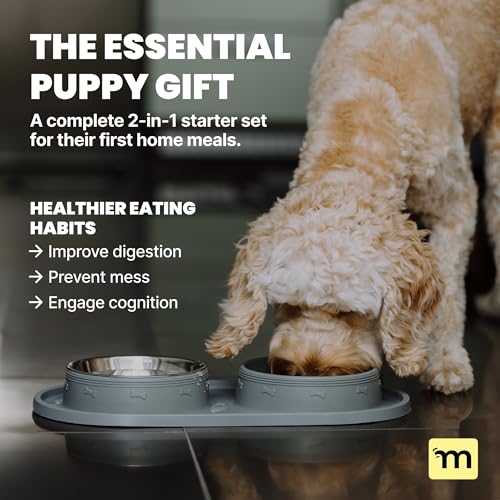 MalsiPree Puppy Slow Feeder & Water Bowl Set - 2-in-1, Gray | 2-in-1 silicone mat with 2 steel bowls - Use for puppies, slow feeding, adoption gifts & training