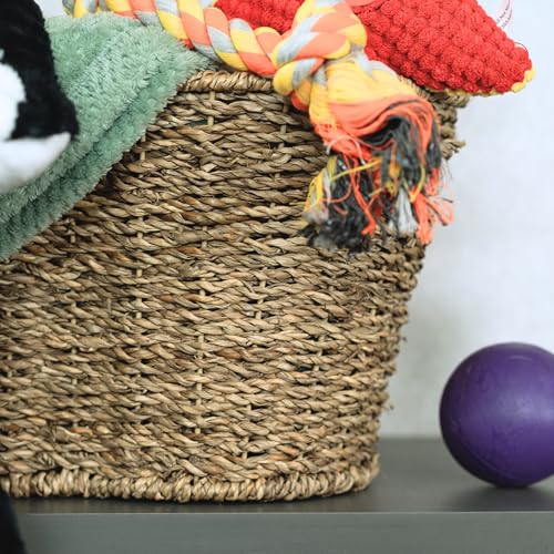 OtterPets Dog Toy Basket, Seagrass Bone Shaped Dog Toy Bin, Handmade Pet Organizer And Storage, Toy Box for Cats (Large (22x14)) - size: Large (22x14")