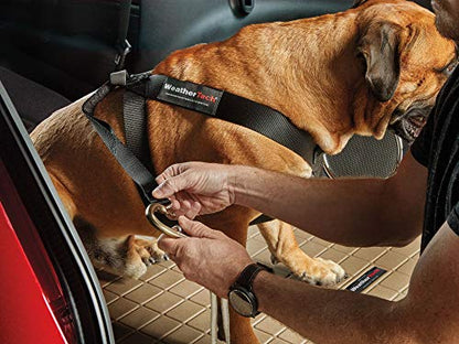 WeatherTech Pet Safety Harness - Keeps Your pet Safe and Secure While on-The-go - XX-Large Black (84PH3749BK) - size: XX-Large