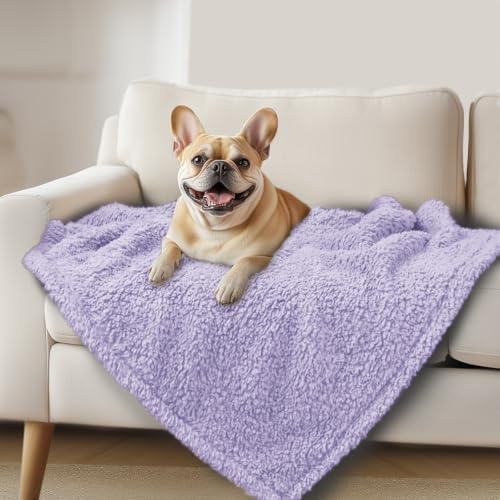 Luciphia Premium Fleece Dog Puppy Blanket Soft Pet Sherpa Calming Cat Blankets Throw for Small Medium Dog Cat(Violet,30x20 inches) - color: Violet, size: 30x20 inches