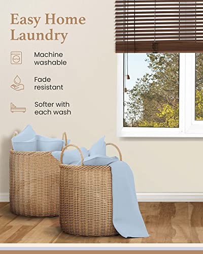 Olympic Queen Sheets Set, 100% Egyptian Cotton, Luxury 600 Thread Count, 4 Pc Super Queen Sheets Sets, Soft & Breathable, Snug Fit,16" Deep Pocket Fitted Sheet, 2 Pillowcases & 1 Flat Sheet,Light Blue - color: Light Blue, size: Olympic Queen (66 x 80)