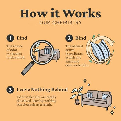 Fresh Wave Orange Odor Eliminating & Deodorizing Packs - Bag of 6 & Fresh Pod Case