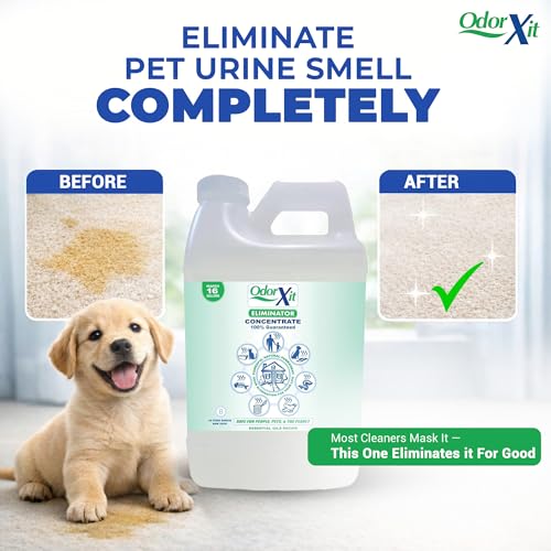 Concentrated Pet Urine Odor Eliminator, Ideal for Cat, Dog Poo and Urine Smell, Versatile & Natural Odor Neutralizer for Home and Outdoor Use, Deodorizer & Absorber, Concentrate, 64oz - style: 64 Fl Oz Concentrate