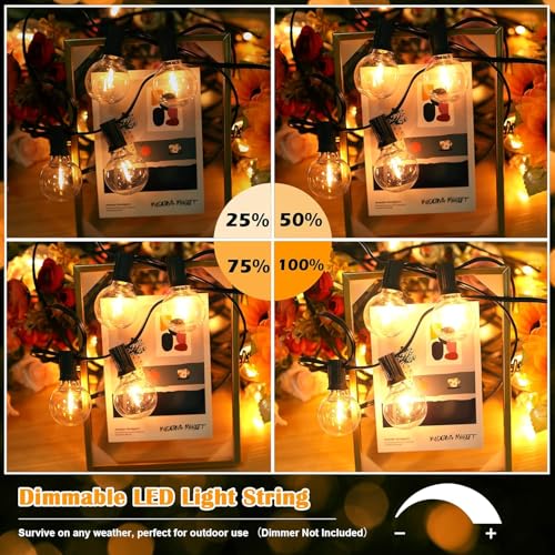 Brightever 120ft Outdoor G40 LED Globe String Lights Dimmable Waterproof Shatterproof Light Strings with 60+2 Bulbs Connectable Commercial Hanging Lights for Patio House Backyard Balcony - size: 120FT