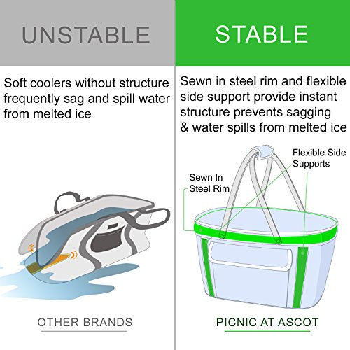 Picnic at Ascot Patented Insulated Folding Picnic Basket Cooler- Designed & Quality Approved in the USA - color: Trellis Blue