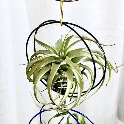 Air Plant Hanging Holder Planter - Plant Hanger Display Frame DIY Kit Aluminum Wire Indoors Outdoors Plants Not Included (Gloden) - color: Gloden