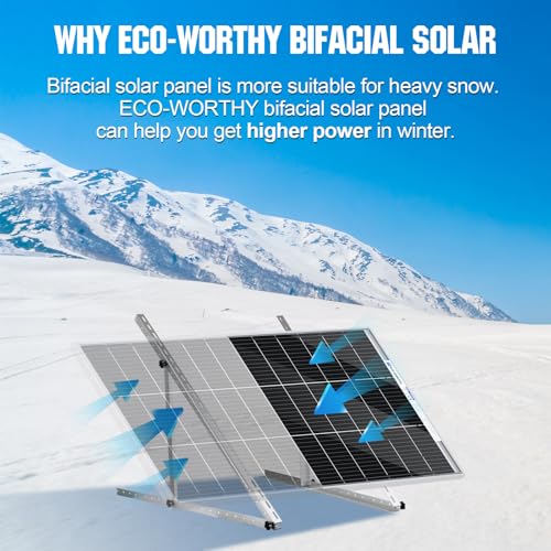 ECO-WORTHY Bifacial 100 Watt 12 Volt Solar Panel Monocrystalline Rigid High-Efficiency PV Module Power Charger for Sunsheds, Canopies, RVs, Farms and Other Off-Grid Applications - style: 100W Bifacial Solar Panel