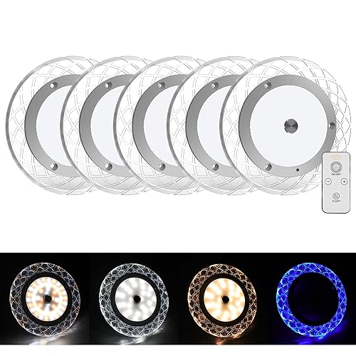 BlueFire RV Interior Lights - 600LM Dimmable LED Ceiling Dome Lights, 4 Colors, 12-18V Fixture with Dimmer Switch for Under Cabinet, Camper Van, Truck, Motorhome, Boat (5 Pack) - color: 5 Pack