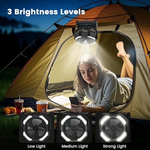 20000mAh Portable Misting Fan, USB Rechargeable Camping Fan with LED Light, Battery Operated for Outdoor, Tents, Beach, Travel - 250mL Water Tank & Hook Included, Black. - color: Black