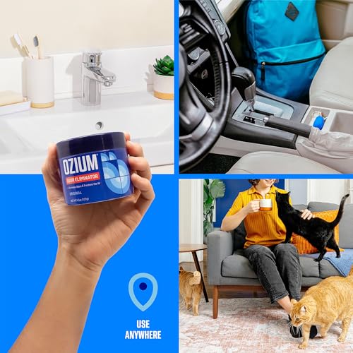 Ozium 4.5 Oz. Odor Eliminating Gel for Homes, Cars, Offices and More, Original, 4 Pack - size: 4.5 Ounce (Pack of 4)