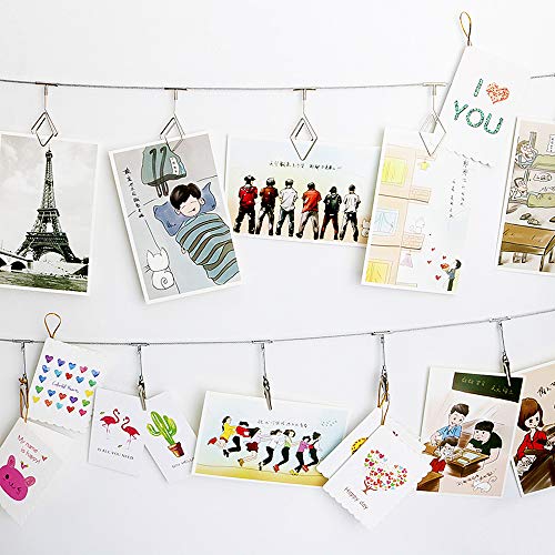 Multi-Purpose Steel Wall Hanging Photo Display Cable Wire Rod String with 12 Clips for Hanging Photos Notes and Artworks (Alligator Clip) - size: alligator clip