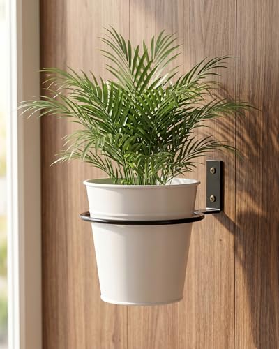 vensovo 6 Pack 6 Inch Wall Mounted Plant Holder - Heavy Duty Metal Flower Pot Hanger Rings - Space Saving Bracket Hooks for Indoor Outdoor Plants Decor, Black - size: 6 Inch