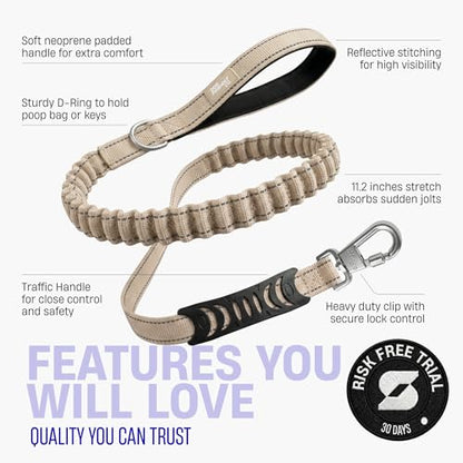 Dog Friendly Co. Bungee Dog Leash | Strain Free & Shock Resistant for Control | Neoprene Padded Handle, Heavy-Duty Carabiner Clip, and D-Ring | Brown, Size Regular - color: Brown, size: Regular