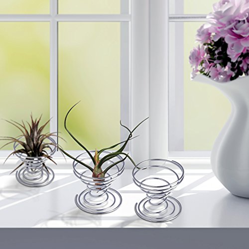Shappy 6 Pieces Air Plant Holder Air Plant Live Holders Outdoor Stainless Steel Tillandsia Base Container Display Rack for Tropical Home Desktop Office Decoration Supplies, Silver