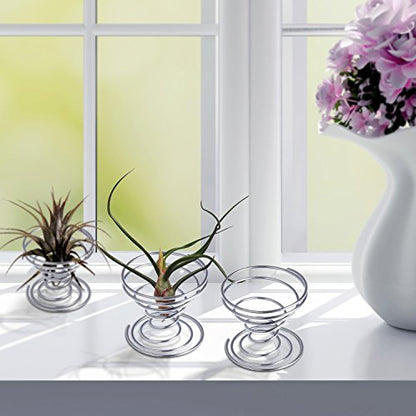 Shappy 6 Pieces Air Plant Holder Air Plant Live Holders Outdoor Stainless Steel Tillandsia Base Container Display Rack for Tropical Home Desktop Office Decoration Supplies, Silver