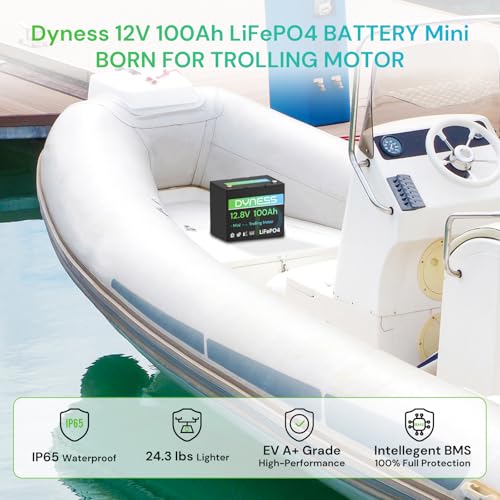 Dyness 12V 100Ah Mini LiFePO4 Battery 4 Pack Group 24, 12 Volt Deep Cycle Lithium Battery with 100A BMS, Low-Temp Protection & 10 Years Lifespan for RV, Boat, Trolling Motor, Solar Off-Grid, Golf Cart - style: 12V 100Ah Mini(4 Pack)