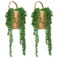 Umigy 2 Pack Wall Hanging Rope Baskets with 4 Pcs Faux Strings of Pearls Plant Jute Hanging Basket with Artificial Succulents for Porch Living Room Bedroom Entryway Patio Outdoor Decoration
