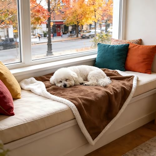 Kritter Planet Dog Blankets for Small Dogs, Soft Puppy Blanket, Pet Blankets for Cats, Lightweight & Washable, Perfect for Dog Beds, Car Seats, Creat, 30x40 inches - color: Brown