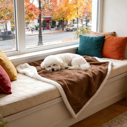 Kritter Planet Dog Blankets for Small Dogs, Soft Puppy Blanket, Pet Blankets for Cats, Lightweight & Washable, Perfect for Dog Beds, Car Seats, Creat, 30x40 inches - color: Brown