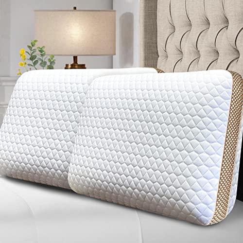 Memory Foam Pillows Standard Size Set of 2, Medium Firm Pillow for Sleeping, Orthopedic Bed Pillow for Side, Back Sleepers, Ventilated Gel Foam Pillow with Washable Cover, 23.6" x 15.7"x 5.1" - size: Standard (Pack of 2)