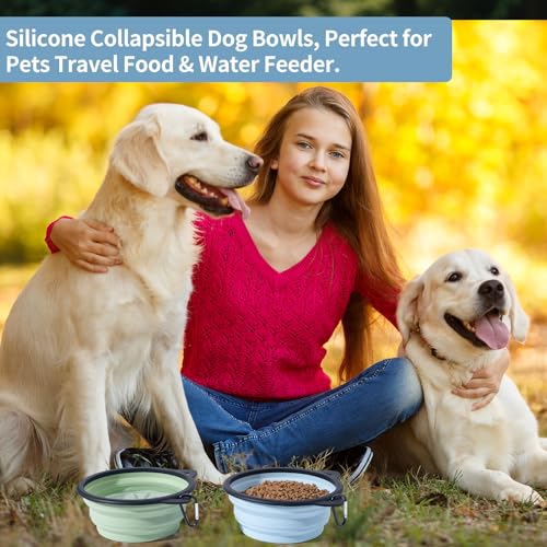 2Pack Silicone Collapsible Dog Bowls, Cute Pet Ear Shape and Cat Graphic Travel Water Bowl Full of Pet Atmosphere 25oz Portable Feeder for Small Large Dog Walking Hiking Camping (Light Blue and Green) - color: Light Blue and Green