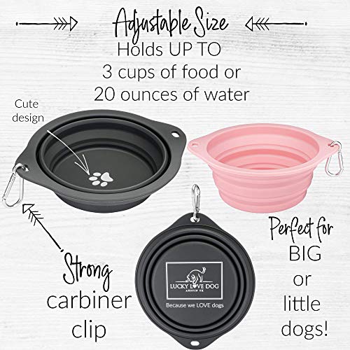 Lucky Love Dog Travel Dog Bowl, Collapsible Compact Water Dog Dish, Rose - color: Rose