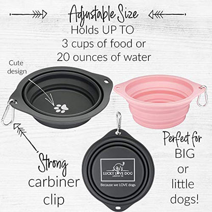 Lucky Love Dog Travel Dog Bowl, Collapsible Compact Water Dog Dish, Rose - color: Rose