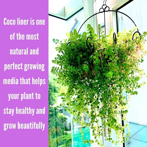 Shoplala Wall Hanging Planter for Outdoor (2 Pack, 10 Inch) Black Metal Hanging Flower Basket for Plants, Wall Planters with Coco Liner Indoor Wall Mounted Plant Holder Outside Balcony Fence Rail Deck - size: 10" (25cm) x 2 Pack