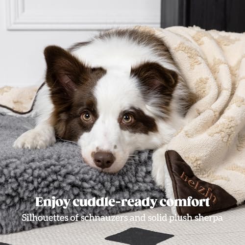 PELZIN Embossed Sherpa Dog Blankets for Small Dogs - Waterproof Cat Blankets for Indoor Cats - Heavy Duty Couch Cover Protector - Soft Reversible Throw Furniture Protection - Small, Cream - size: S - 25"x35"