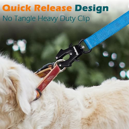 PetBonus Heavy Duty Tactical Dog Leash, 5 FT Bungee Shock Absorption Leash with 2 Padded Handles, Quick Release Metal Clip, Car Seatbelt, No Pull Training Lead for Large Medium Dogs（Light Blue） - color: Light Blue