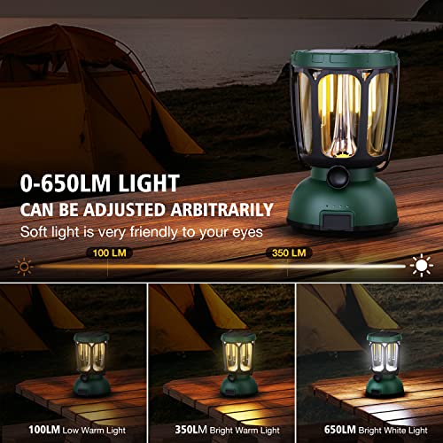 Raynic 6000 LED Camping Lantern, 650LM Hand Crank Solar Battery Powered Rechargeable Lantern, Emergency Lights for Home Power Failure, Hurricane, USB Cable Included - size: GREEN