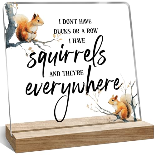 Funny Office Desk Decor Gifts for Women Men, I Don't Have Ducks or A Row Quote Desk Decoration for Home, 4x4 Inches - color: Green