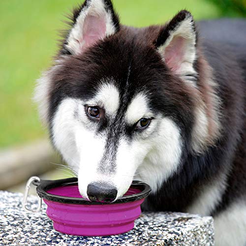 Kytely Large Collapsible Dog Bowls 2 Pack, 34oz Foldable Dog Travel Bowl, Portable Pet Water Food Bowl with Clasp, Pet Cat Feeding Cup Dish for Traveling, Walking, Hiking (Green+Purple) - color: Green & Purple