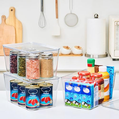theaoo Clear Storage Bins with Lids Stackable - Large Plastic Containers for Pantry Organization and Storage - Perfect for kitchen,Fridge,Laundry Room,Bathroom,Garage,Closet,Cabinet Organizer -10 Pack - size: Large (Pack of 10)