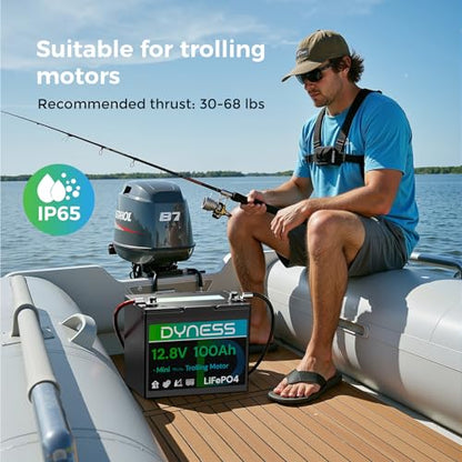 Dyness 12V 100Ah Mini LiFePO4 Battery 2 Pack Group 24, 12 Volt Deep Cycle Lithium Battery with 100A BMS, Low-Temp Protection & 10 Years Lifespan for RV, Boat, Trolling Motor, Solar Off-Grid, Golf Cart - style: 12V 100Ah Mini(2 Pack)