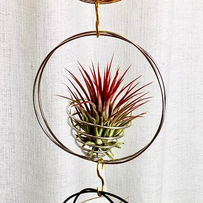 Air Plant Hanging Holder Planter - Plant Hanger Display Frame DIY Kit Aluminum Wire Indoors Outdoors Plants Not Included (Dark Blue) - color: Dark Blue