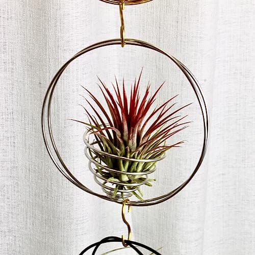 Air Plant Hanging Holder Planter - Plant Hanger Display Frame DIY Kit Aluminum Wire Indoors Outdoors Plants Not Included (Yellow) - color: Yellow
