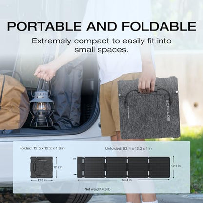 EF ECOFLOW Portable Power Station RIVER 2 with 60W Solar Panel, 256Wh LiFePO4 Battery/ 1 Hour Fast Charging, Up to 600W Output, Solar Generator for Outdoor Camping/RVs/Home Use - style: RIVER 2+60W Solar Panel