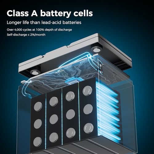 Dyness 12V 100Ah Mini LiFePO4 Battery 2 Pack Group 24, 12 Volt Deep Cycle Lithium Battery with 100A BMS, Low-Temp Protection & 10 Years Lifespan for RV, Boat, Trolling Motor, Solar Off-Grid, Golf Cart - style: 12V 100Ah Mini(2 Pack)