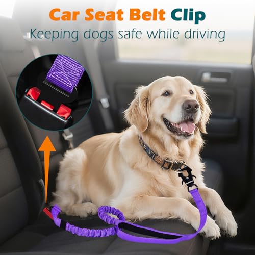 PetBonus Heavy Duty Tactical Dog Leash, 5 FT Bungee Shock Absorption Leash with 2 Padded Handles, Quick Release Metal Clip, Car Seatbelt, No Pull Training Lead for Large Medium Dogs（Purple） - color: Purple