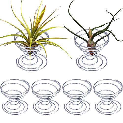 Shappy 6 Pieces Air Plant Holder Air Plant Live Holders Outdoor Stainless Steel Tillandsia Base Container Display Rack for Tropical Home Desktop Office Decoration Supplies, Silver