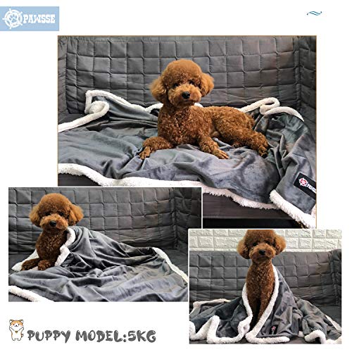Kritter Planet Dog Blankets for Small Dogs, Soft Puppy Blanket, Pet Blankets for Cats, Lightweight & Washable, Perfect for Dog Beds, Car Seats, Creat, 30x40 inches - color: Grey