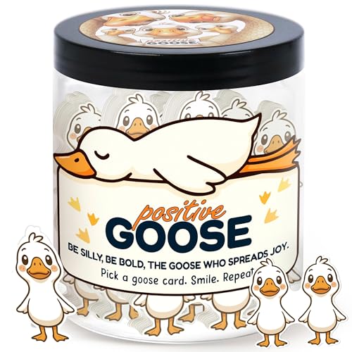 Positive Goose Jar with 60 Affirmation Cards, Emotional Support Goose Decor, Silly Desk Present for Goose Lovers, Mental Health Motivation Jar for Women and Teens, Funny Gag Gift Idea - color: Positive Goose