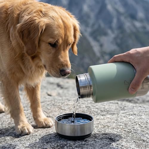 32oz Insulated Dog Water Bottle Dispenser, 3-in-1 Stainless Steel Travel Cup with 2 Detachable Food and Water Bowls, Leak Proof Large Pet Gear, Ideal Gift for Dog Lovers - color: green