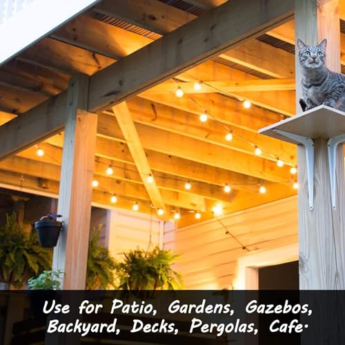 Banord 50FT G40 Globe String Lights with 26 Dimmable Plastic Bulbs, 2700K Waterproof Outdoor LED Lights for Patio, Porch, Cafe, Backyard, E12 Screw Base - size: 50FT