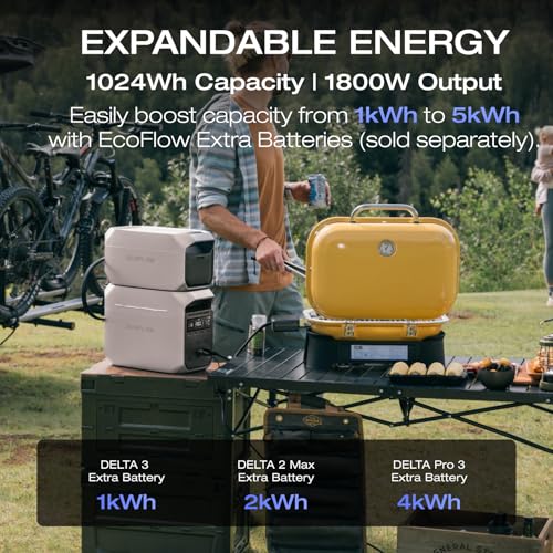 EF ECOFLOW Solar Generator DELTA 3 Plus with 400W Solar Panel (2024 New), 1000W Solar Input, LFP(LiFePO4) Battery, Portable Power Station for Home Backup Power, Camping & RVs - style: DELTA 3 Plus with 400W