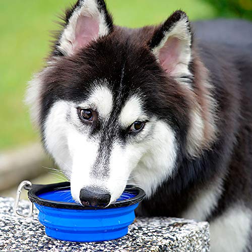 Kytely Large Collapsible Dog Bowls 2 Pack, 34oz Foldable Dog Travel Bowl, Portable Pet Water Food Bowl with Clasp, Pet Cat Feeding Cup Dish for Traveling, Walking, Hiking (Blue+Blue) - color: Blue & Blue